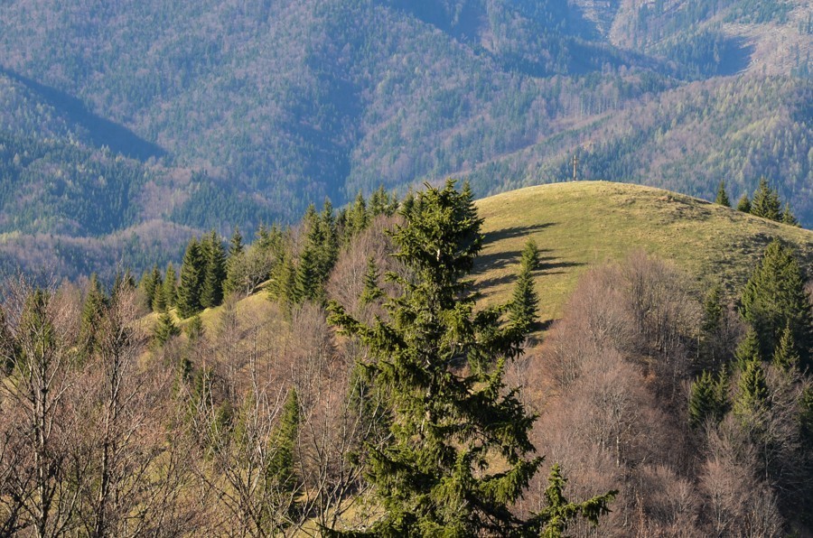 47 - Wiosenna Wielka Fatra. Zvolen i Končitá (nie Wurst)