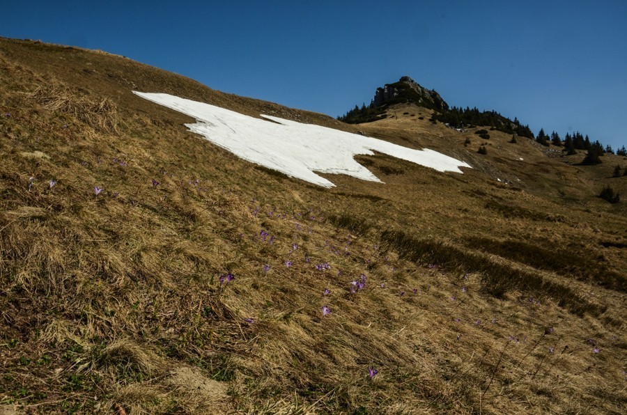 07 - Krokusowa Fatra - Ploska i Borisov