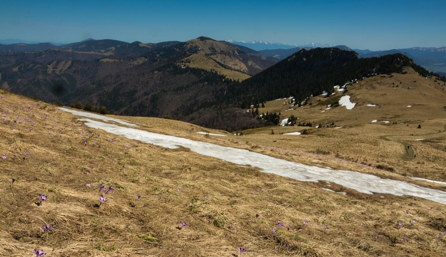 10 - Krokusowa Fatra - Ploska i Borisov