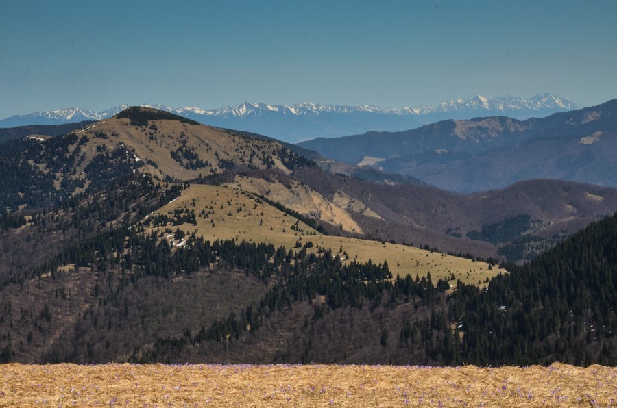 39 - Krokusowa Fatra - Ploska i Borisov