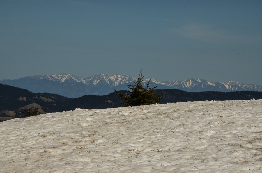 49 - Krokusowa Fatra - Ploska i Borisov