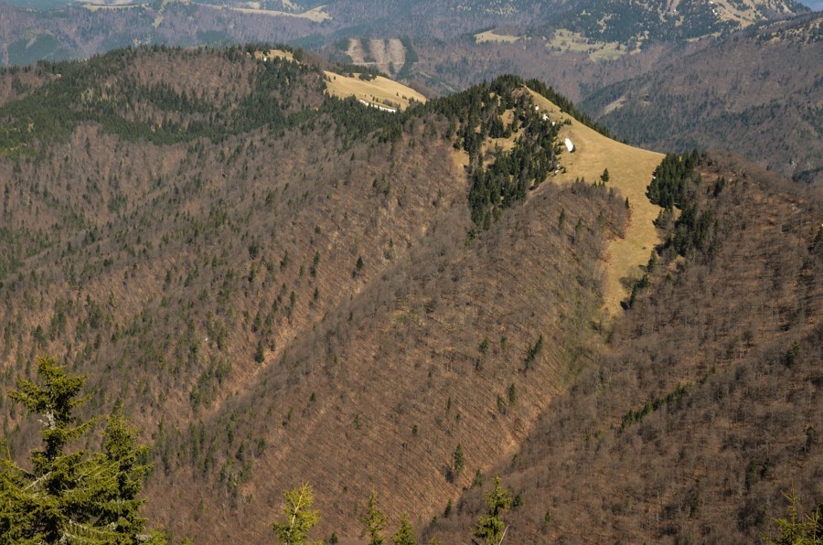 56 - Krokusowa Fatra - Ploska i Borisov