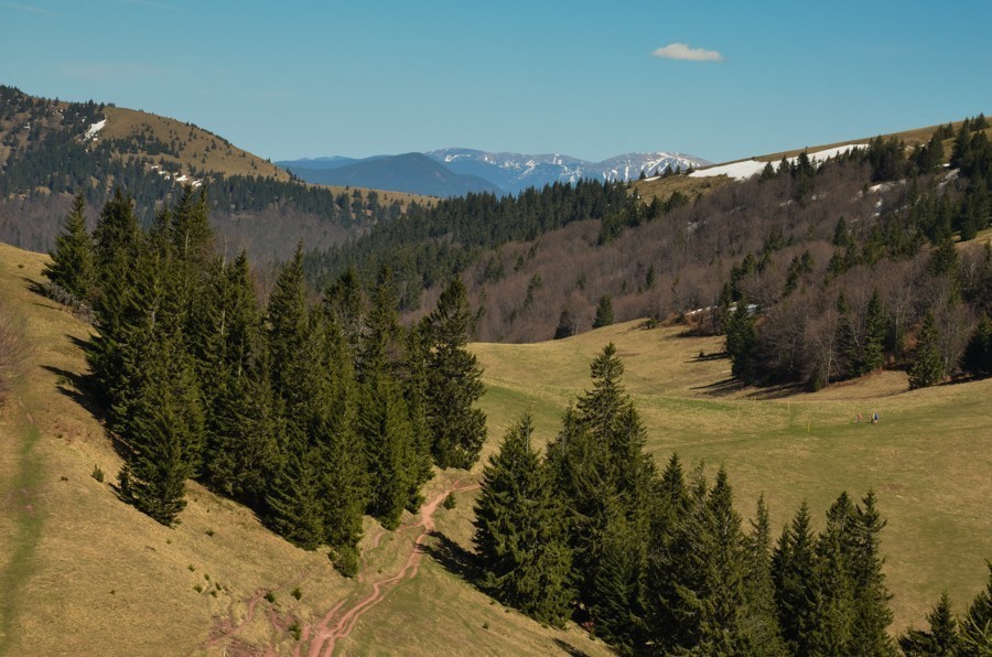 58 - Krokusowa Fatra - Ploska i Borisov