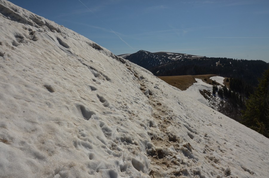 60 - Krokusowa Fatra - Ploska i Borisov