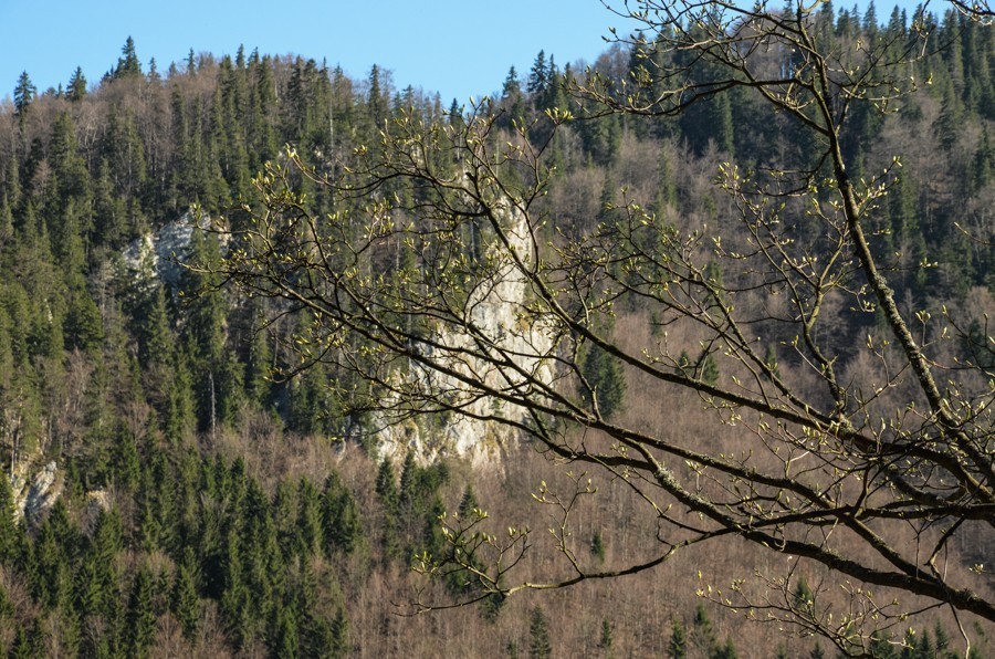 63 - Krokusowa Fatra - Ploska i Borisov