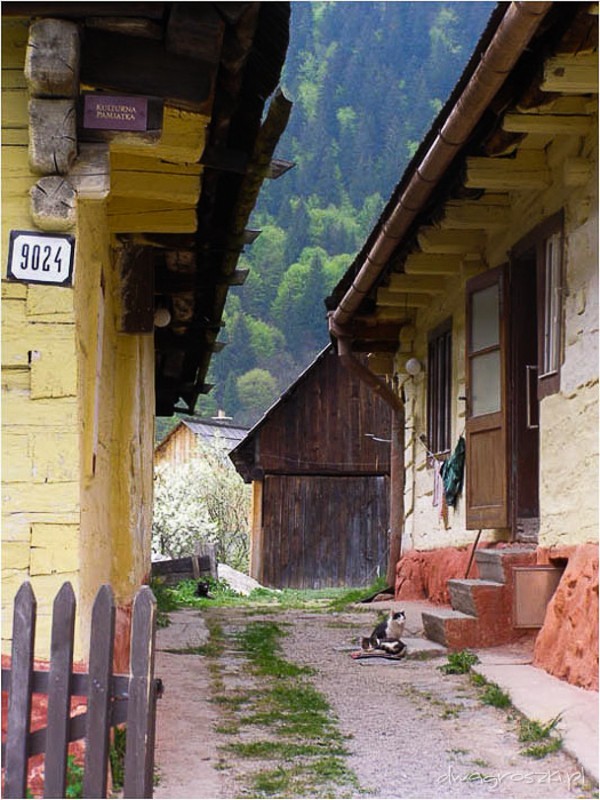 03 - Wielka Fatra. Wędrówka liptowskim grzbietem