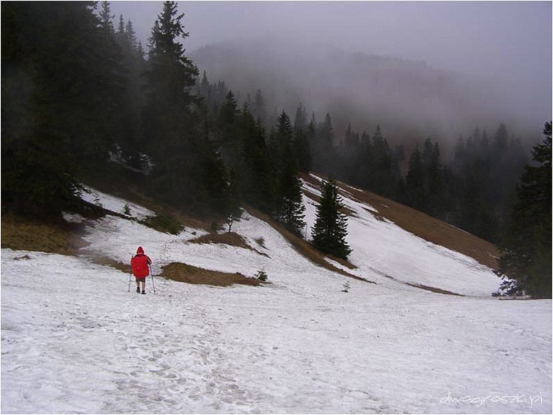 27 - Wielka Fatra. Wędrówka liptowskim grzbietem