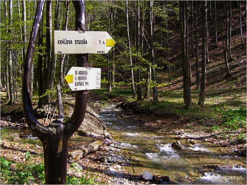 36 - Wielka Fatra. Wędrówka liptowskim grzbietem