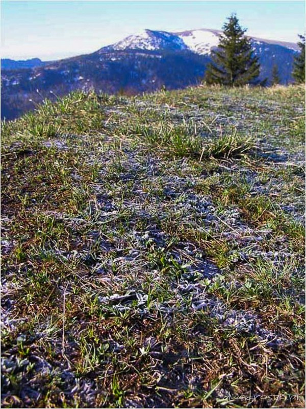 41 - Wielka Fatra. Wędrówka liptowskim grzbietem