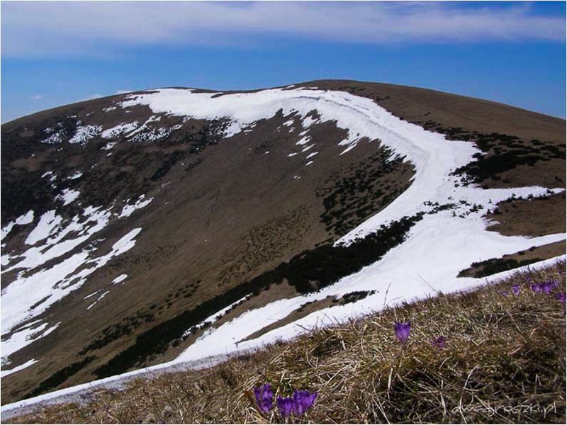 43 - Wielka Fatra. Wędrówka liptowskim grzbietem