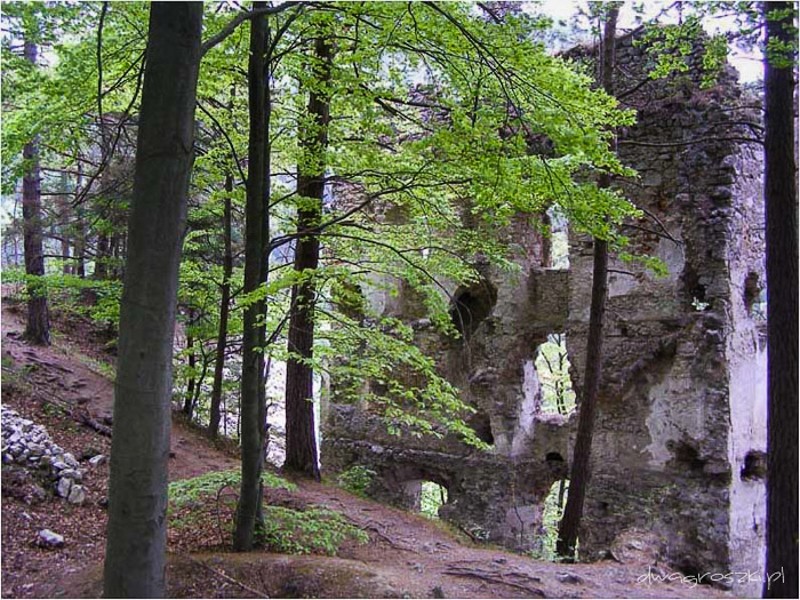 50 - Wielka Fatra. Wędrówka liptowskim grzbietem