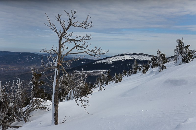 04 - Królewna Śnieżka i tysiąc krasnoludków