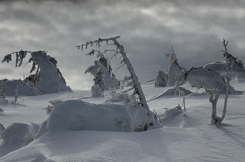 Karkonosze