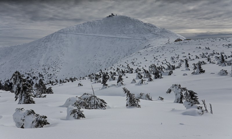 Śnieżka