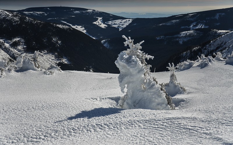 Śnieżka