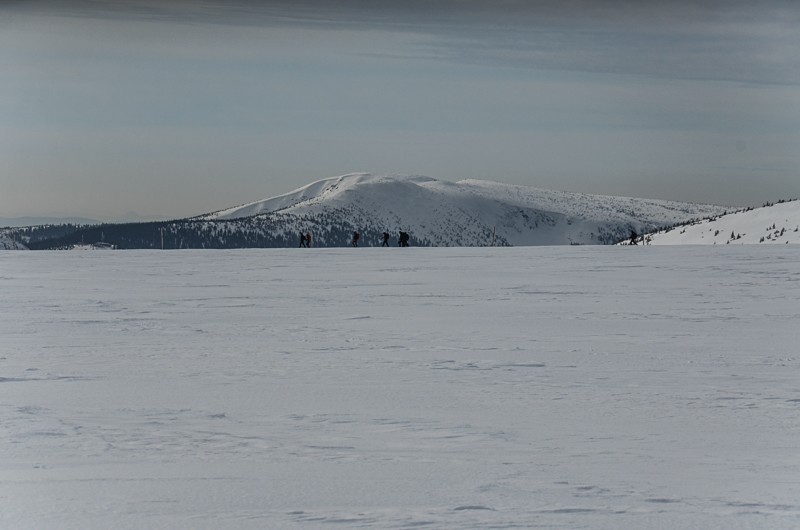 Karkonosze