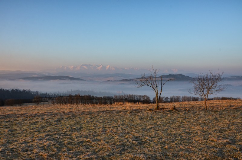 Tatry z przełęczy Snozka