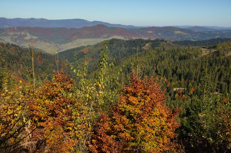 Veterný vrch