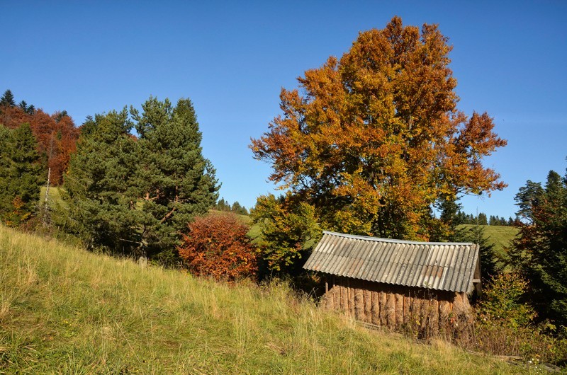 Veterný vrch