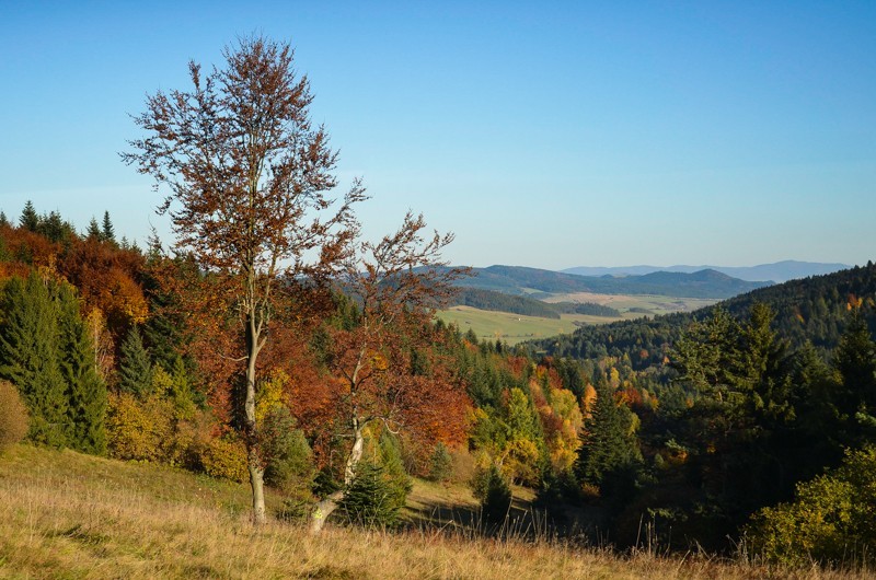 63 - Veterný vrch, czyli Magura Spiska po raz pierwszy