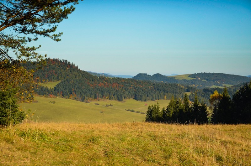 66 - Veterný vrch, czyli Magura Spiska po raz pierwszy