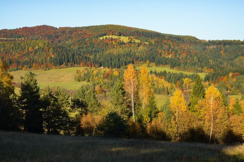 Veterný vrch