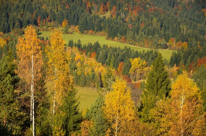 77 - Veterný vrch, czyli Magura Spiska po raz pierwszy