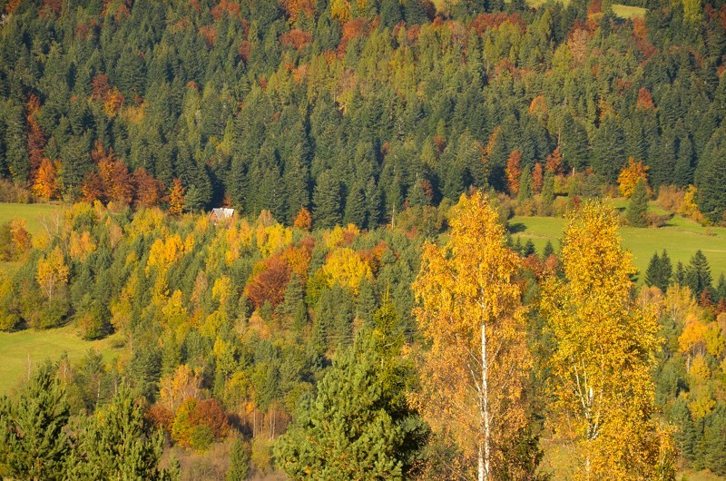 79 - Veterný vrch, czyli Magura Spiska po raz pierwszy