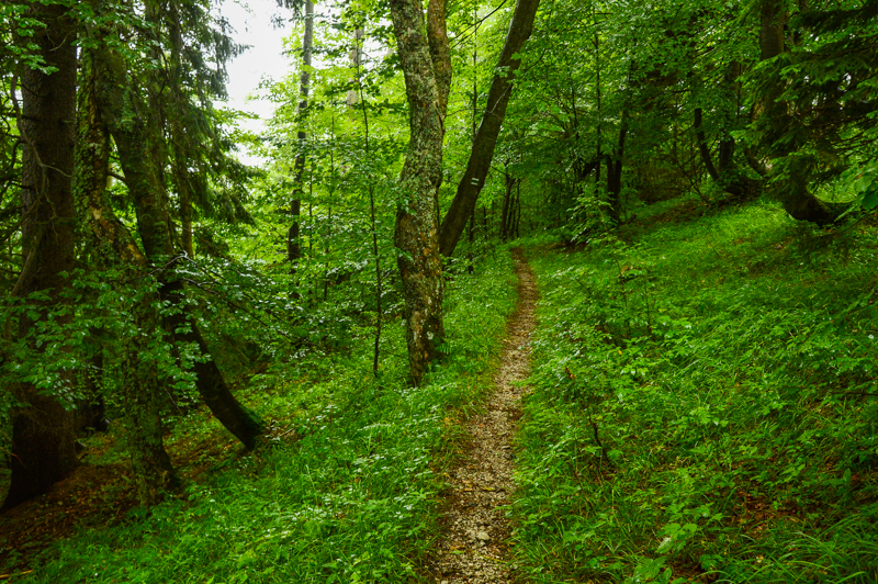 Veľká Fatra