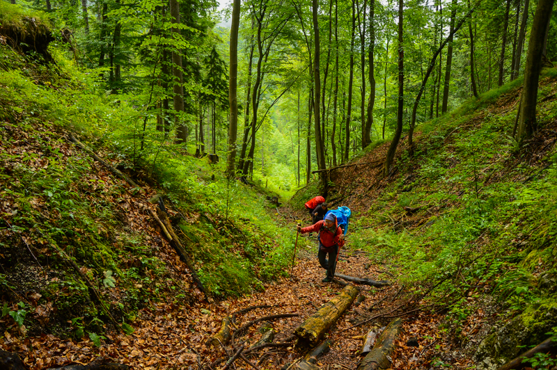 Veľká Fatra