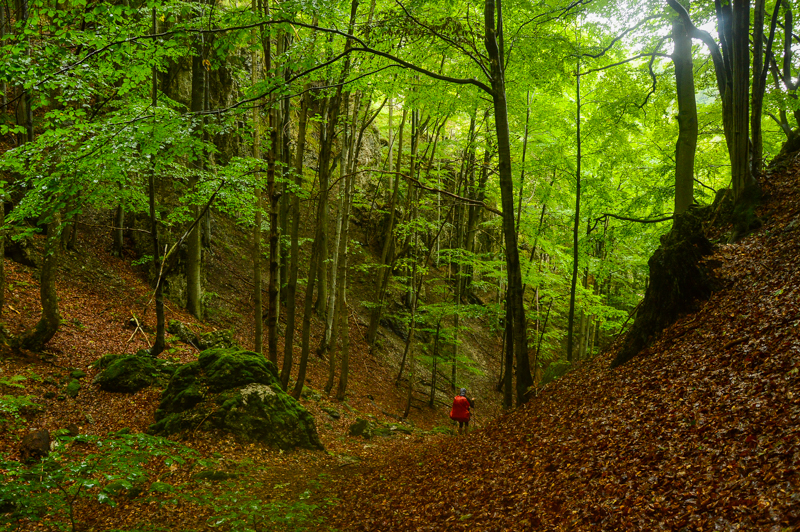 Veľká Fatra