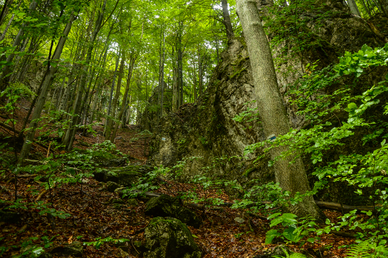 Veľká Fatra