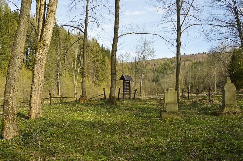 53 - Wola Michowa, Mików i Smolnik przez przełęcz Żebrak