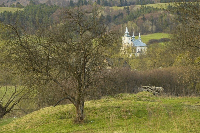 74 - Wola Michowa, Mików i Smolnik przez przełęcz Żebrak