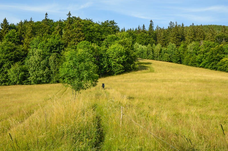 39 - Zielony szlak Szklarska Poręba - Wałbrzych