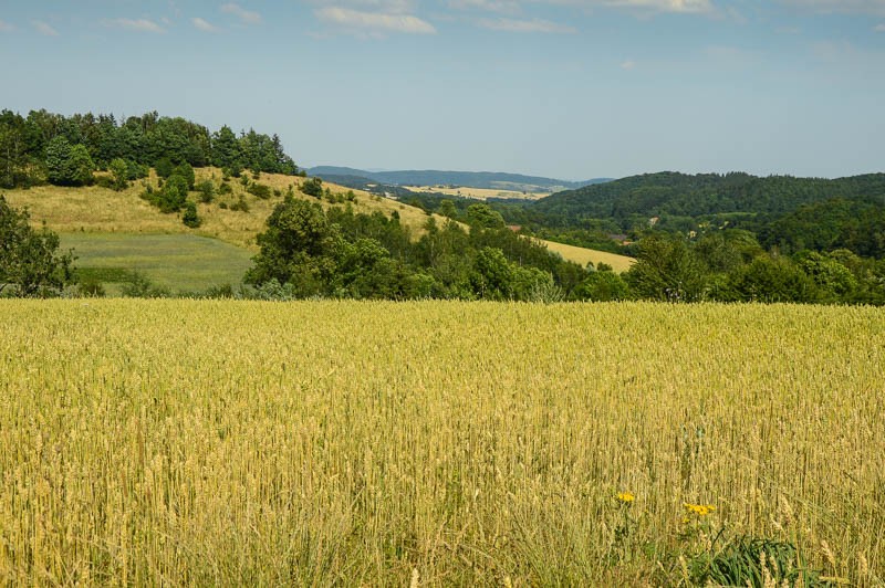 Zielony szlak Szklarska Poręba - Wałbrzych