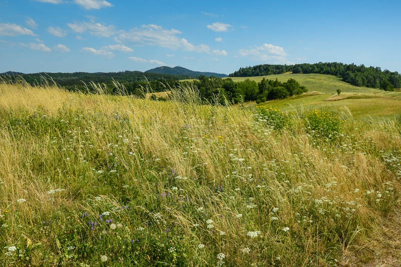 Zielony szlak Szklarska Poręba - Wałbrzych