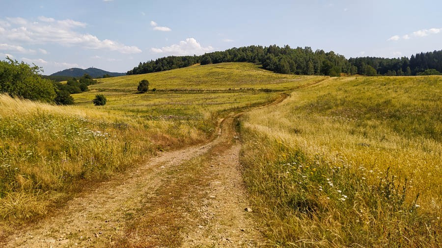 Zielony szlak Szklarska Poręba - Wałbrzych