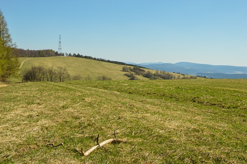 44 - Żurawinka. Pogórze Bukowskie najwyżej