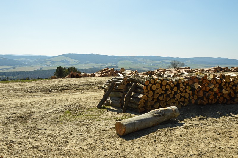 47 - Żurawinka. Pogórze Bukowskie najwyżej