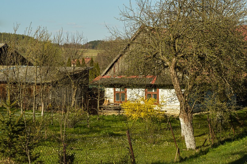 59 - Żurawinka. Pogórze Bukowskie najwyżej