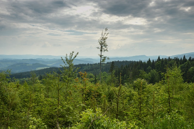 29 - Gírová rowerowa – pętelka z Jaworzynki