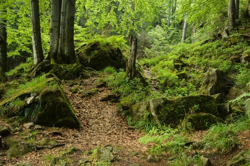 39 - Gírová rowerowa – pętelka z Jaworzynki