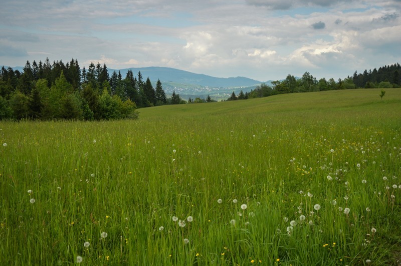 56 - Gírová rowerowa – pętelka z Jaworzynki