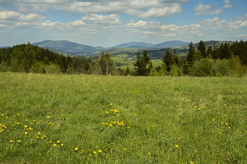 03 - Góra Chabówka. Widokowe szlaki w okolicach Rabki