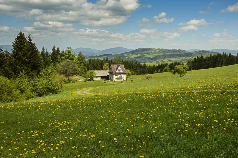 Beskid Wyspowy