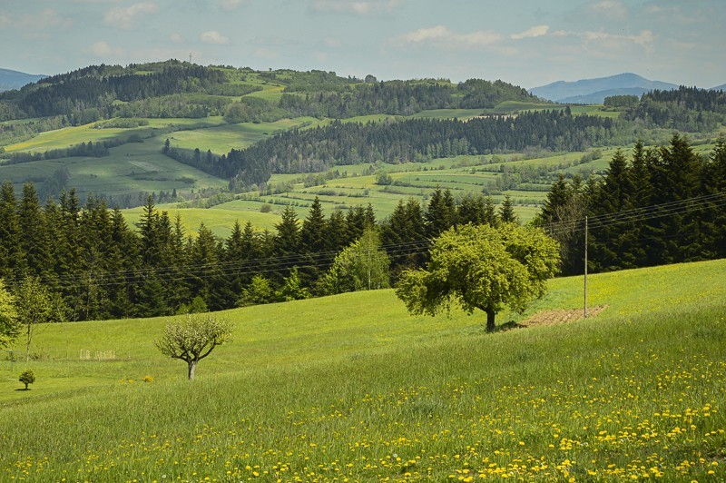 06 - Góra Chabówka. Widokowe szlaki w okolicach Rabki