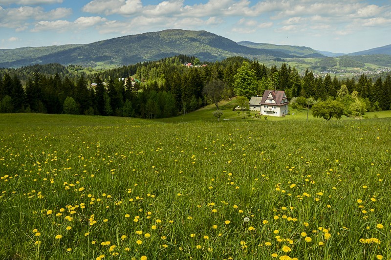 Luboń Wielki