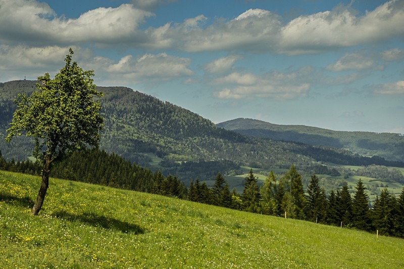 11 - Góra Chabówka. Widokowe szlaki w okolicach Rabki