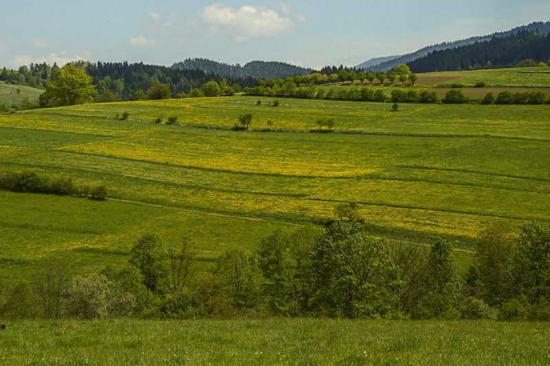 16 - Góra Chabówka. Widokowe szlaki w okolicach Rabki